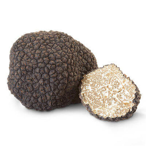 Immagine di TARTUFO NERO ESTIVO ITALIA I° CATEG. (super. 20 Gr.)