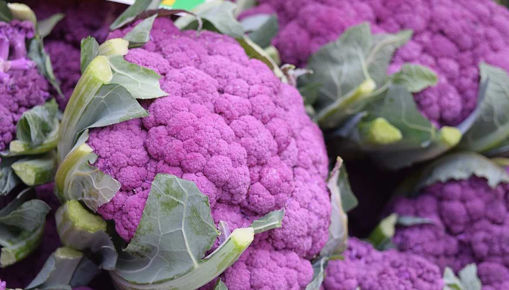 Immagine di BROCCOLO VIOLETTO SICILIANO