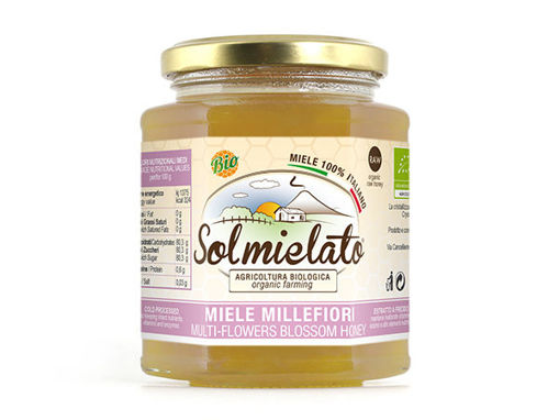 Immagine di MIELE DI MILLEFIORI BIO GR. 300
