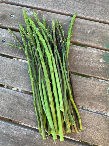 Immagine di ASPARAGI CAMPANIA