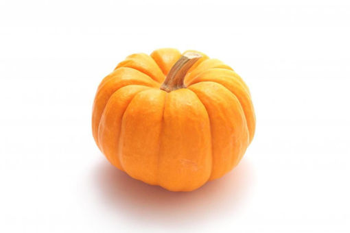 Picture of YELLOW PUMPKIN
