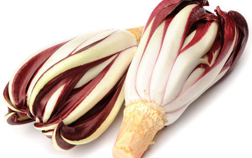 Immagine di RADICCHIO TREVIGIANO TARDIVO