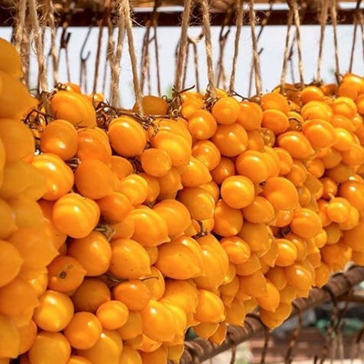 Immagine di POMODORO PIENNOLO DEL VESUVIO GIALLO