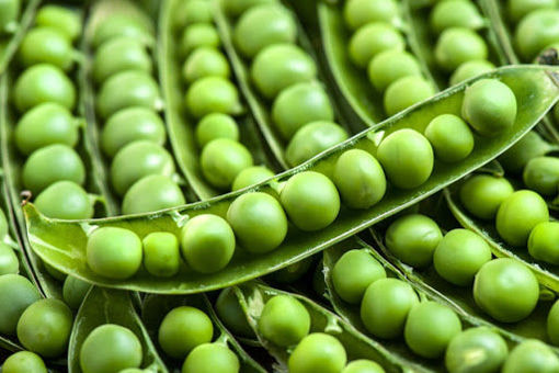 Picture of FRESH PEAS 