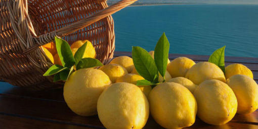 Picture of LEMONS AMALFI COAST 
