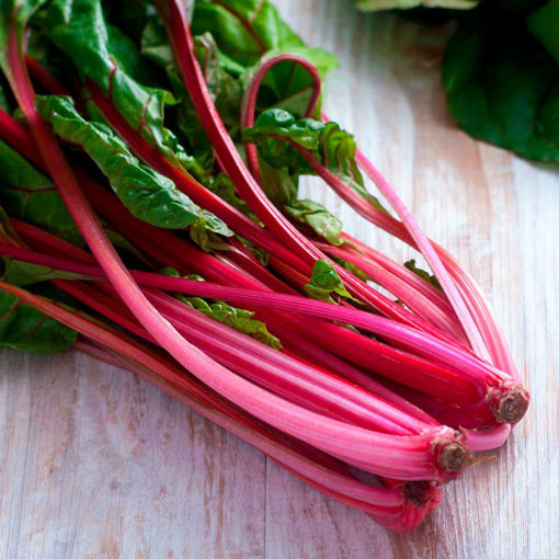 Picture of RED BEET