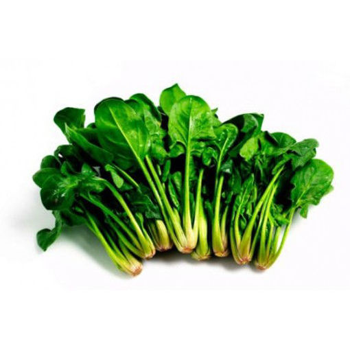 Picture of FRESH SPINACH