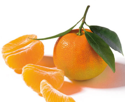 Immagine di CLEMENTINE BIO DI CALABRIA