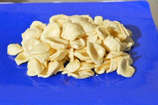 Immagine di ORECCHIETTE FRESCHE GR. 500