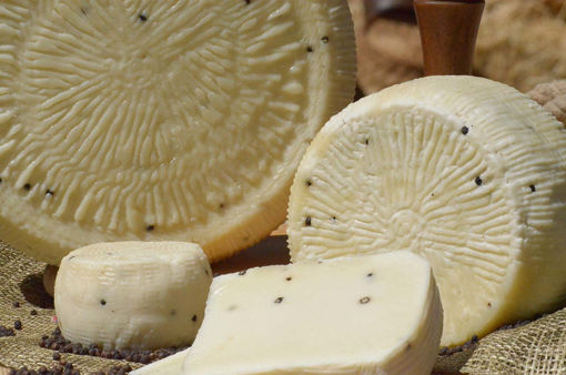 Immagine di PECORINO FRESCO AL PEPE NERO 