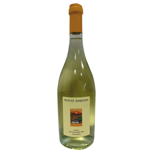 Picture of MALFIANO FRIZZANTE IGT 12°  CL.75