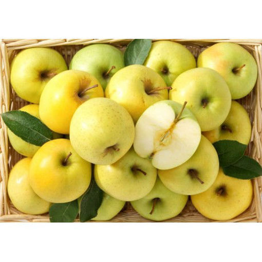 Picture of GOLDEN APPLES (SALE BY WEIGHT)