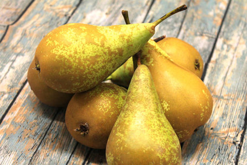 Picture of PEAR CONFERENCE