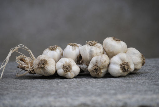 Picture of BRAIDED GARLIC