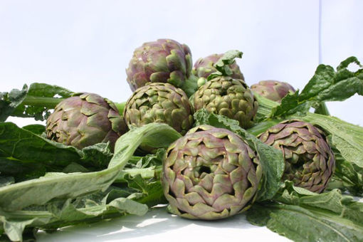 Immagine di CARCIOFI DI PAESTUM