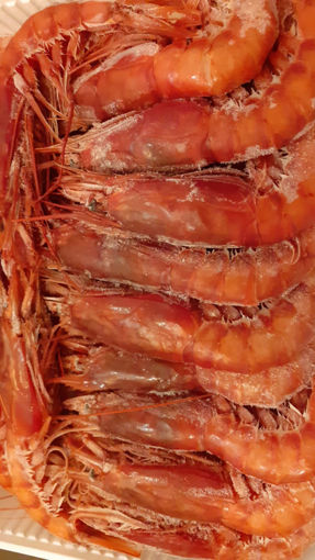 Immagine di GAMBERO ROSSO DI MAZARA III° (Ca. 50 pz. per kg)