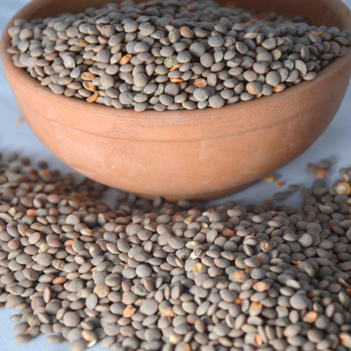 Picture of SICILIAN DRY LENTIL