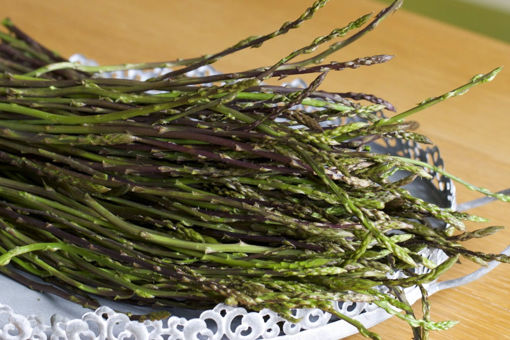 Immagine di ASPARAGI SELVATICI SICILIA