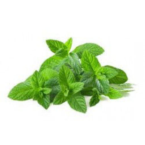 Picture of MINT IN BUNCHES