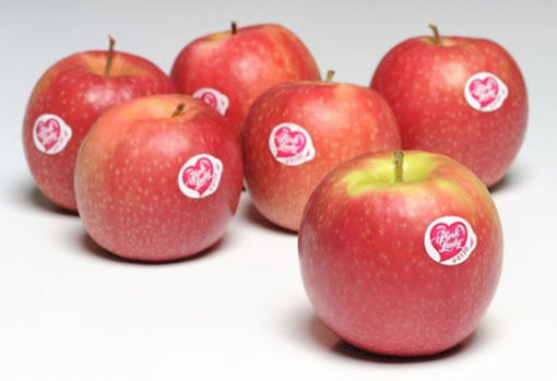 Picture of PINK LADY APPLES