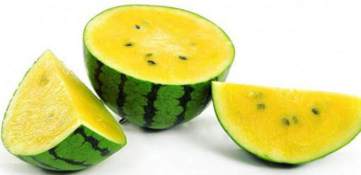 Picture of MINI YELLOW WATERMELONS