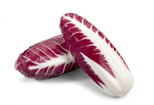 Immagine di RADICCHIO LUNGO TREVIGIANO