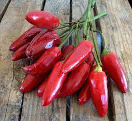 Immagine di PEPERONCINI PICCANTI FRESCHI A TRECCE