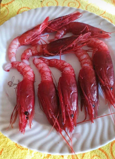 Immagine di GAMBERO ROSSO DI MAZARA IV° (Ca. 80 pz. per kg)
