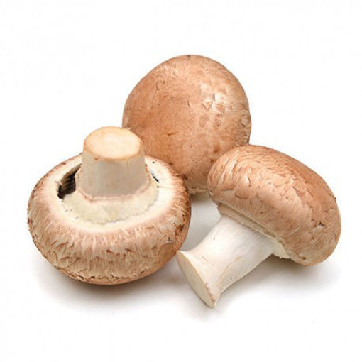 Immagine di FUNGHI CHAMPIGNON FRESCHI ROSE'