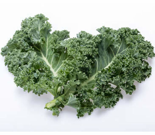 Immagine di NICA CAVOLO RICCIO BOX GR.500 ( 15-25 CM )